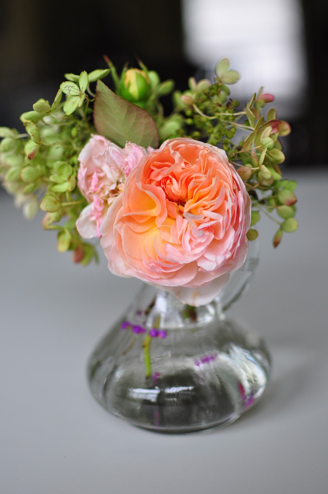 Хороший вопрос: Как правильно сажать и выращивать розы?