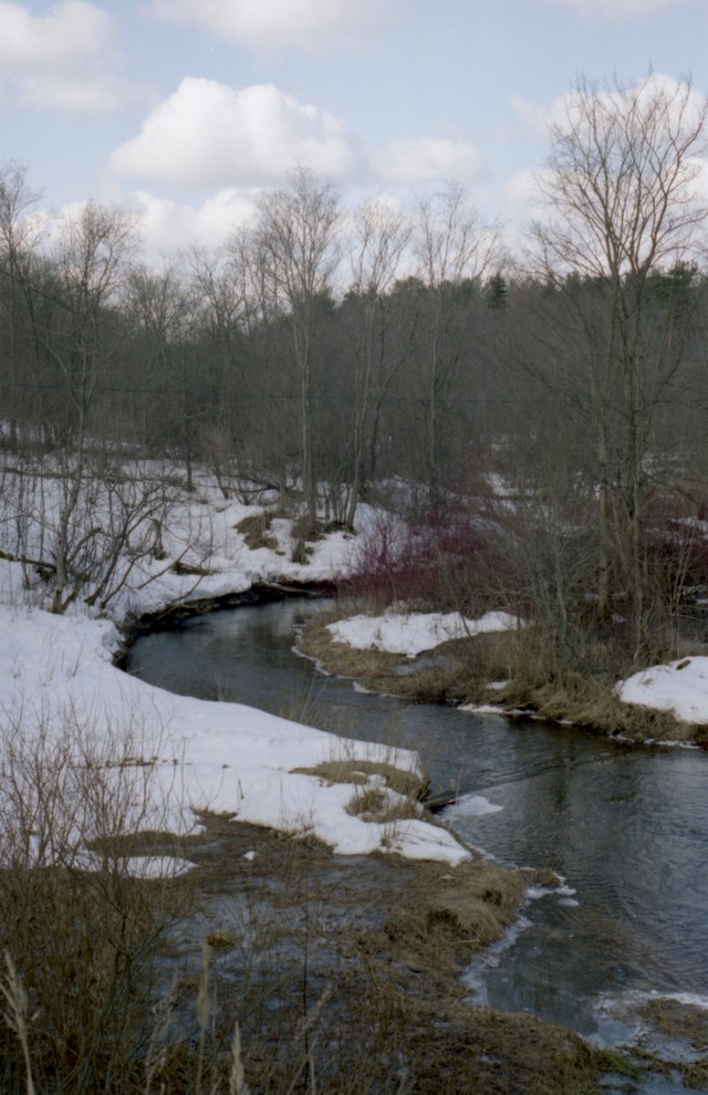 И все-таки уже весна: Календарь садовода на март