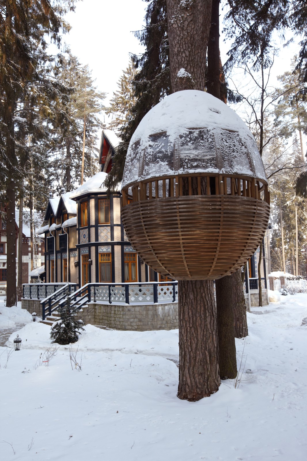 Домик на дереве