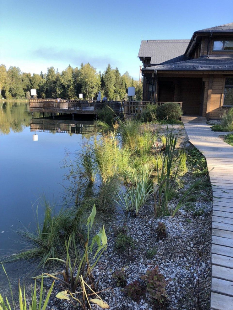 Изумрудный лес