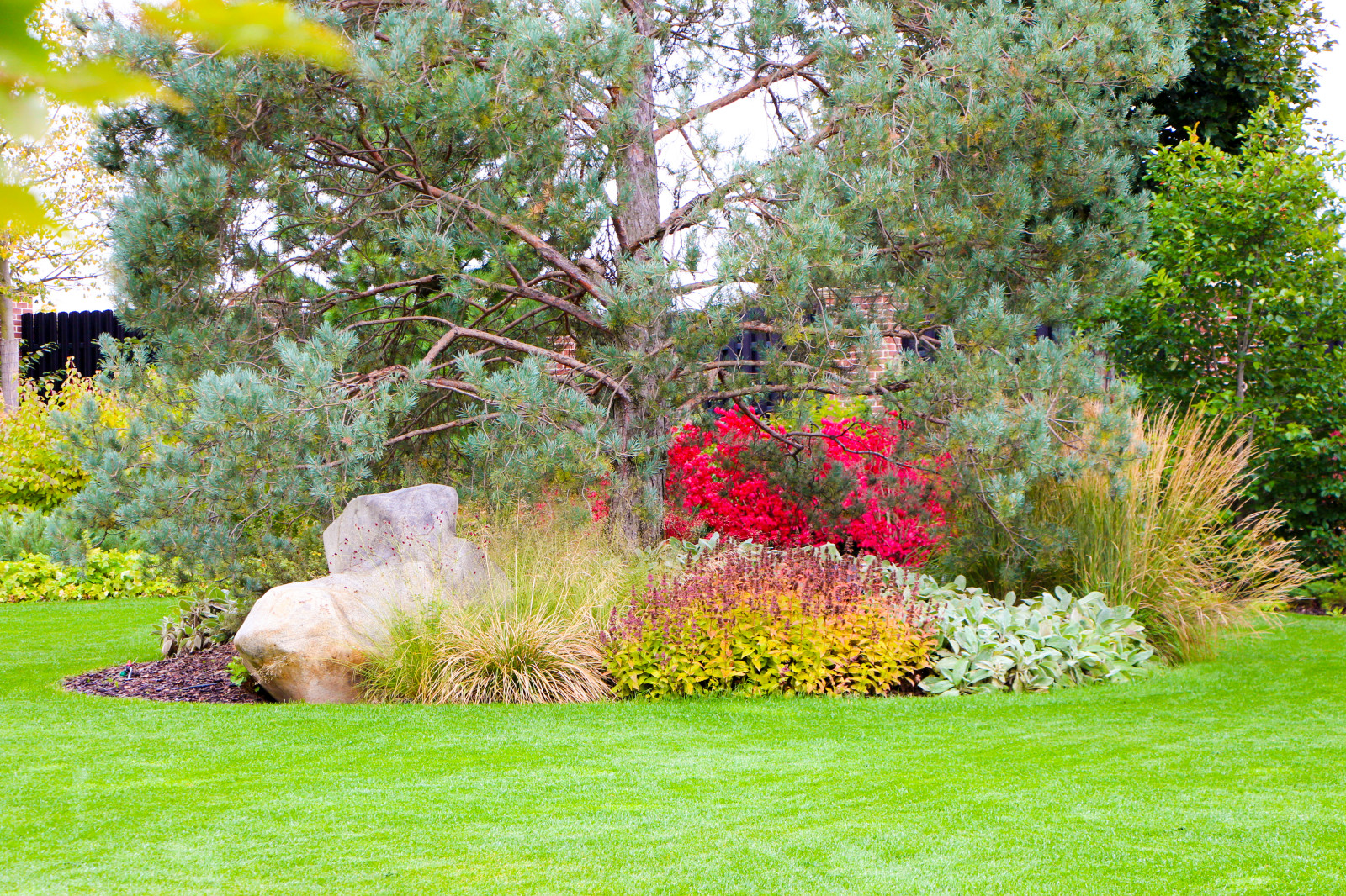 Горки-10, 2017-2020 г.г.