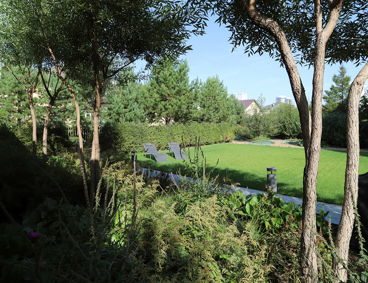 сад в городе