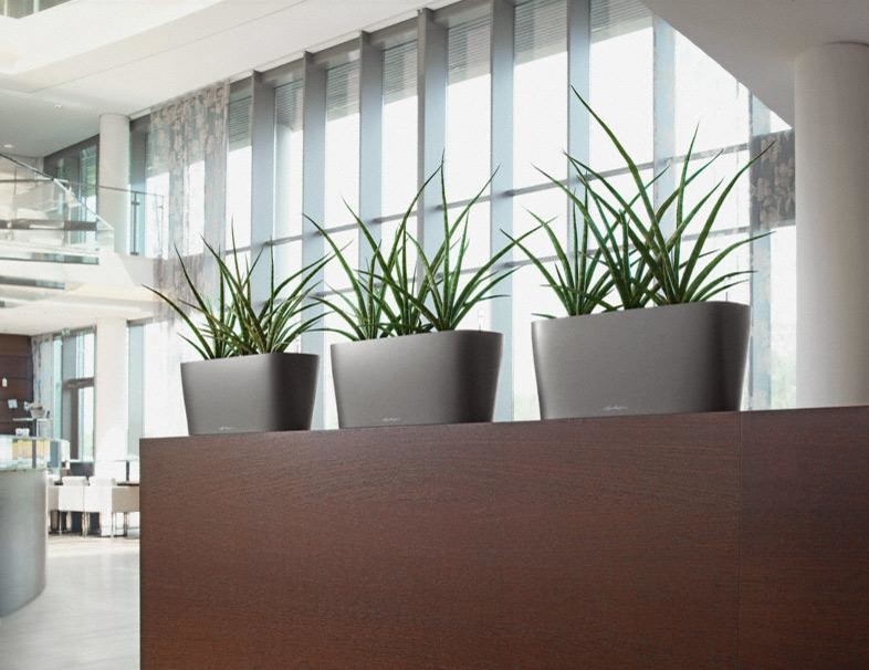 Шик на небольшой площади