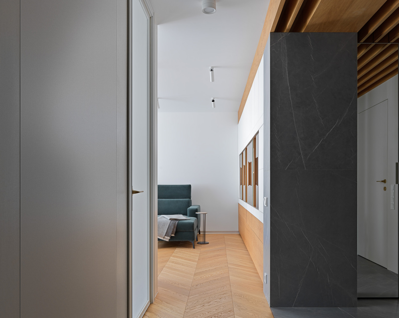 Проект Лебедь