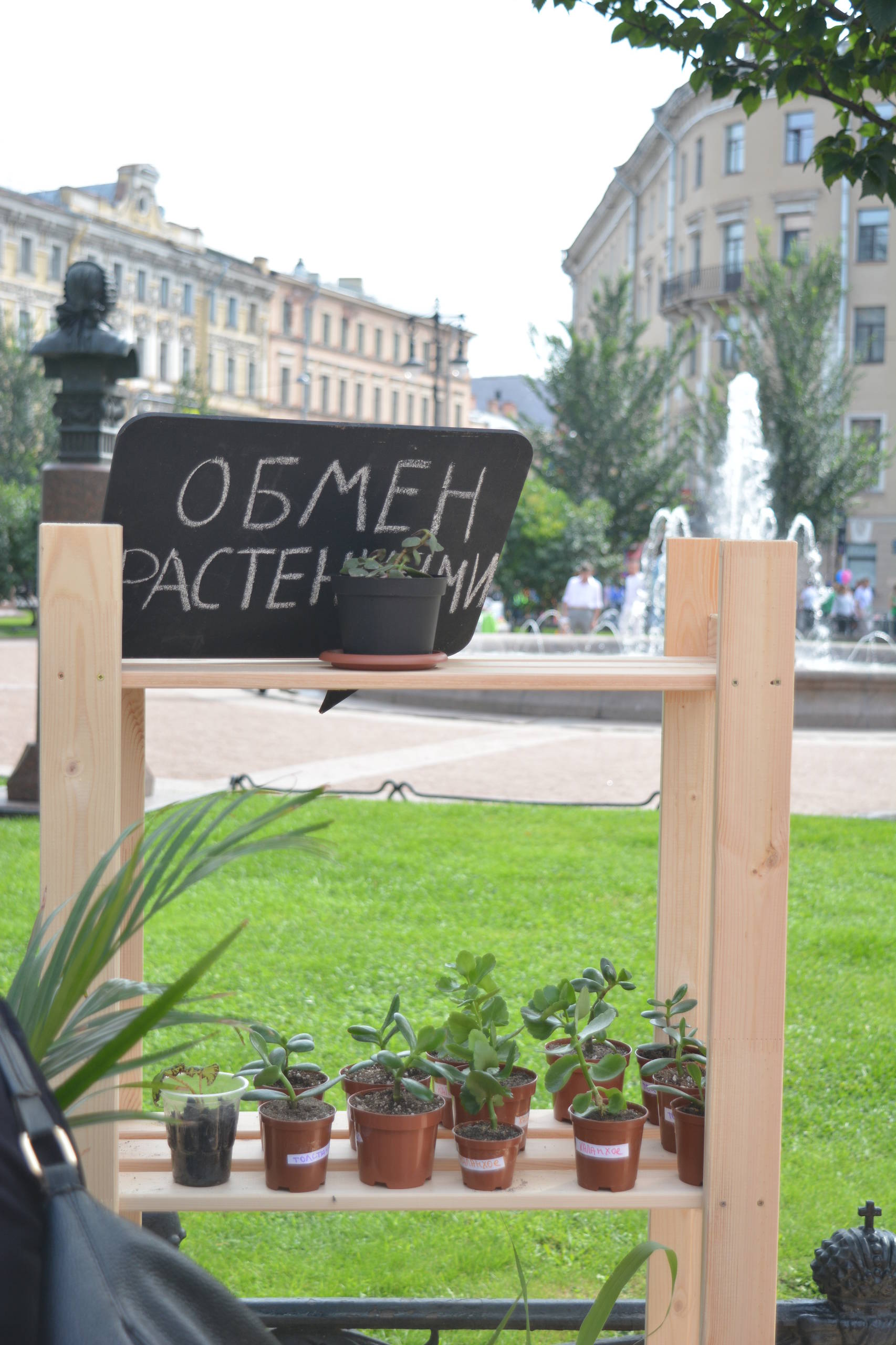 Приоритеты: Как ухаживать за садом, если денег нет