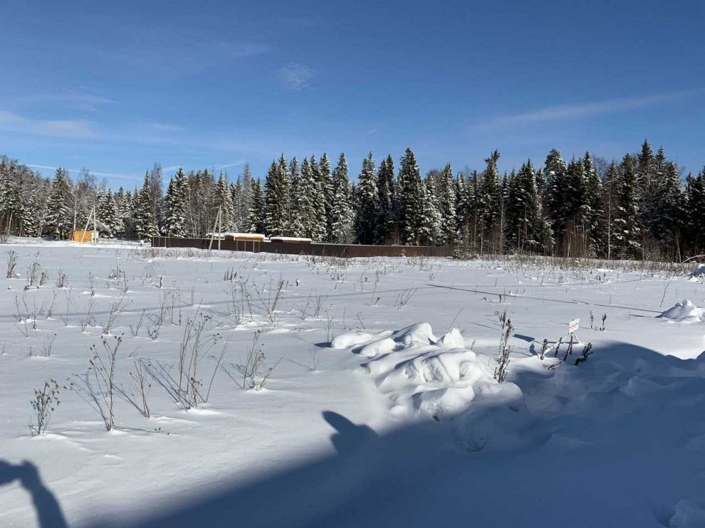 Строительство дома в классическом стиле в усадьбе Мураново