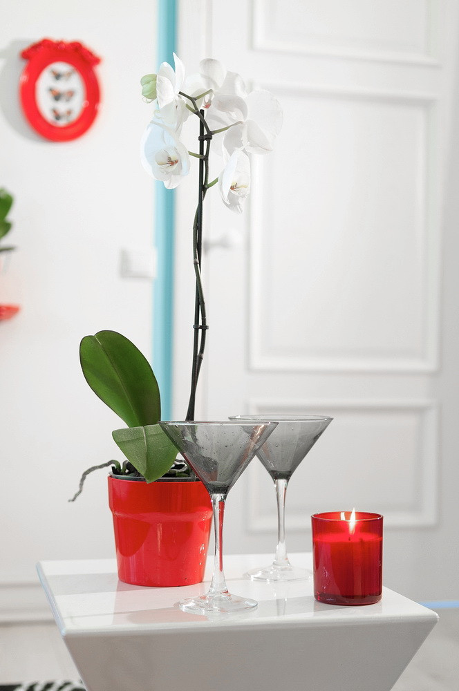 Обложка проекта: Striped Lounge