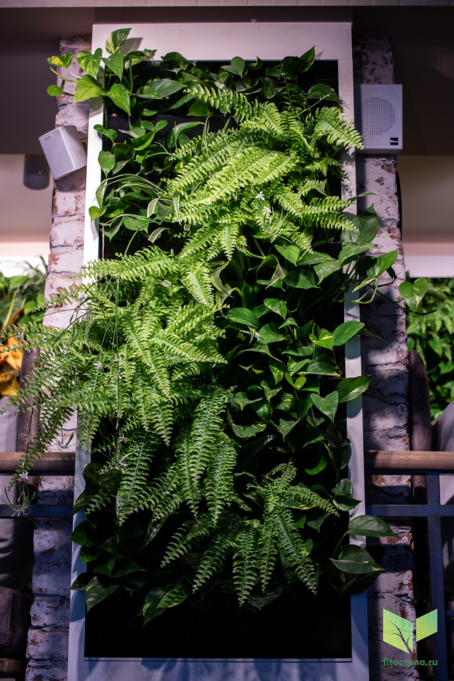 Вертикальное озеленение в ресторане CHANG