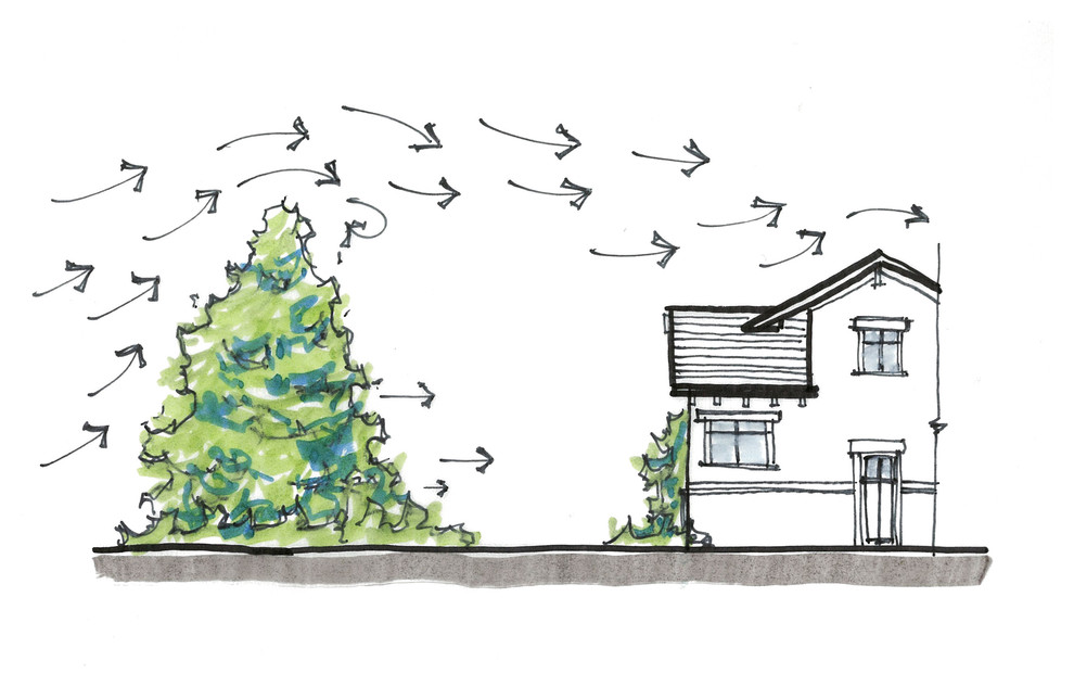 Эргономика: Где поставить дом на участке