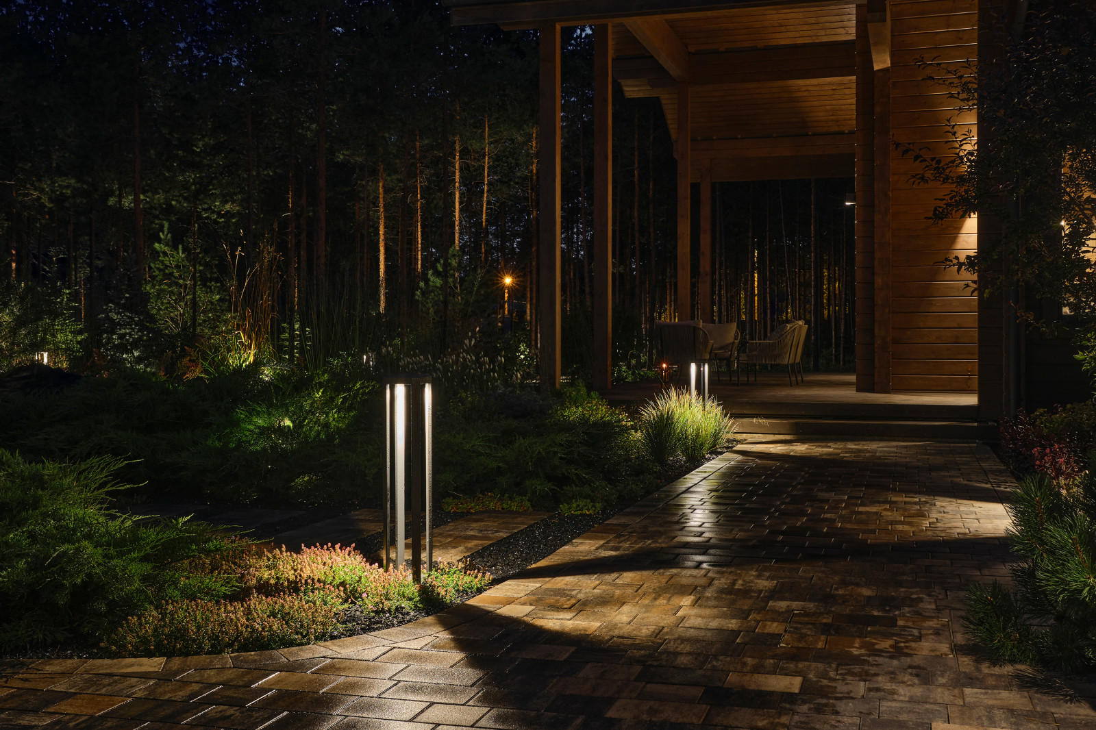 Обложка проекта: ЛЕС 1/2