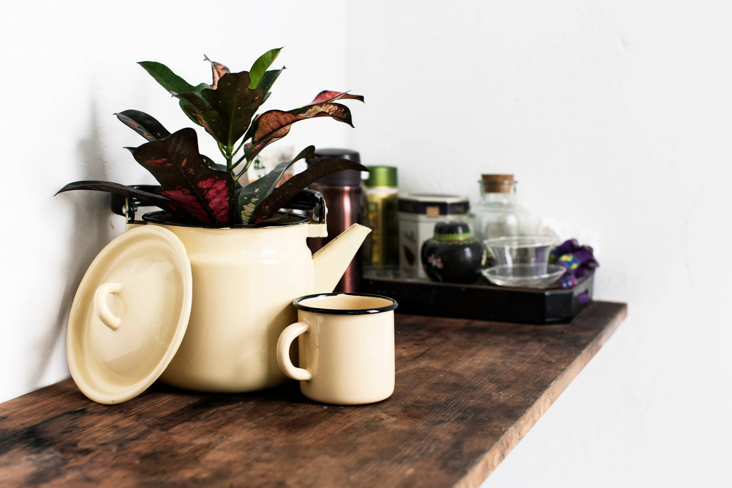 Цветы на подоконнике: 12 идей, как расставить их по правилам декора