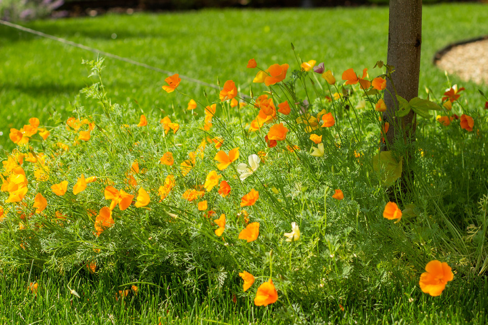 Сад с зеленой крышей