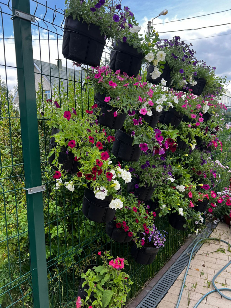 Обложка проекта: Fargo House