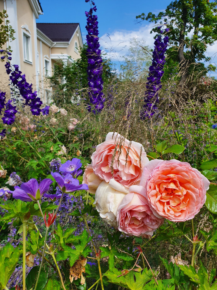 Частный сад