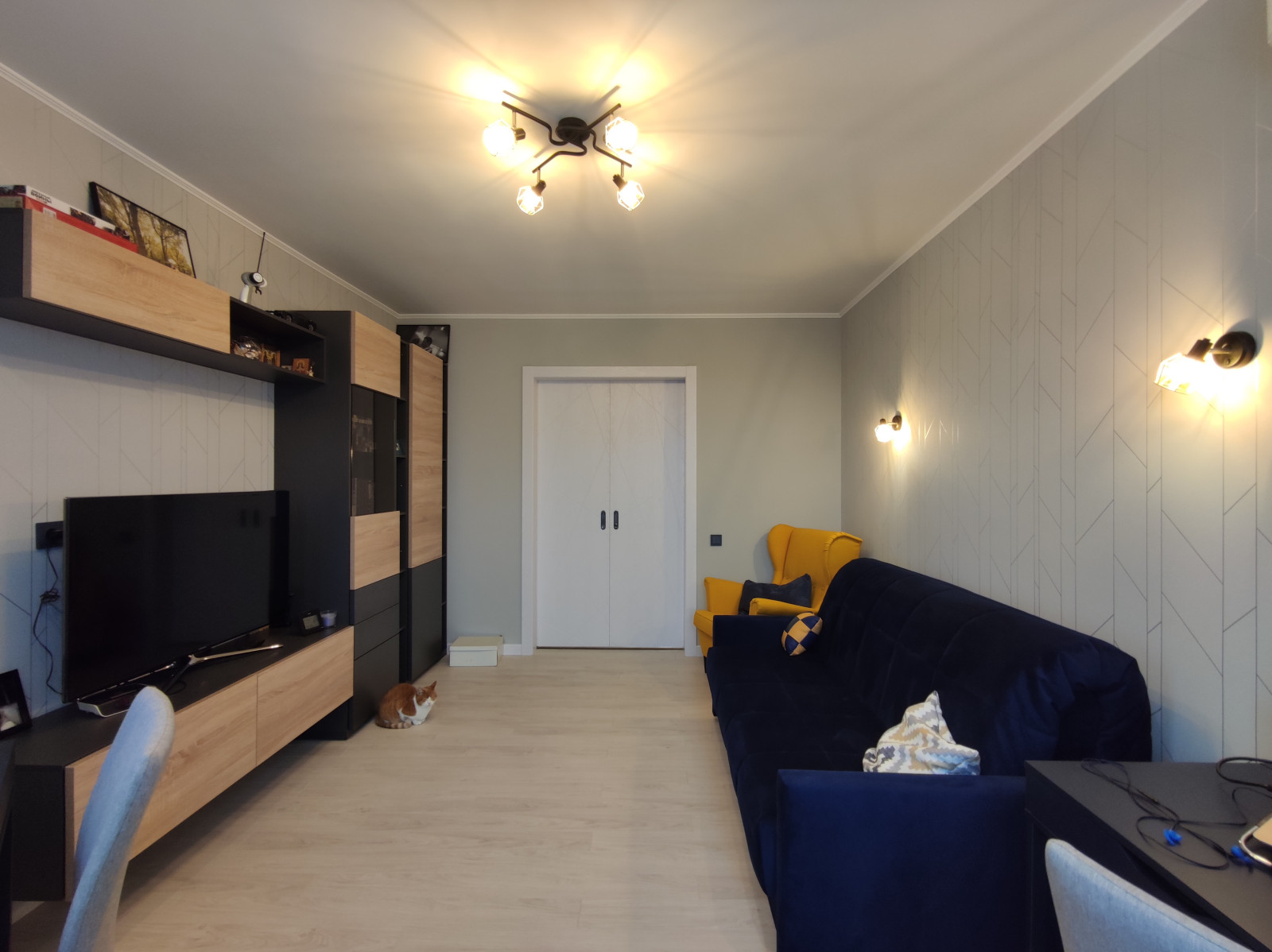 Гостиная с котиком