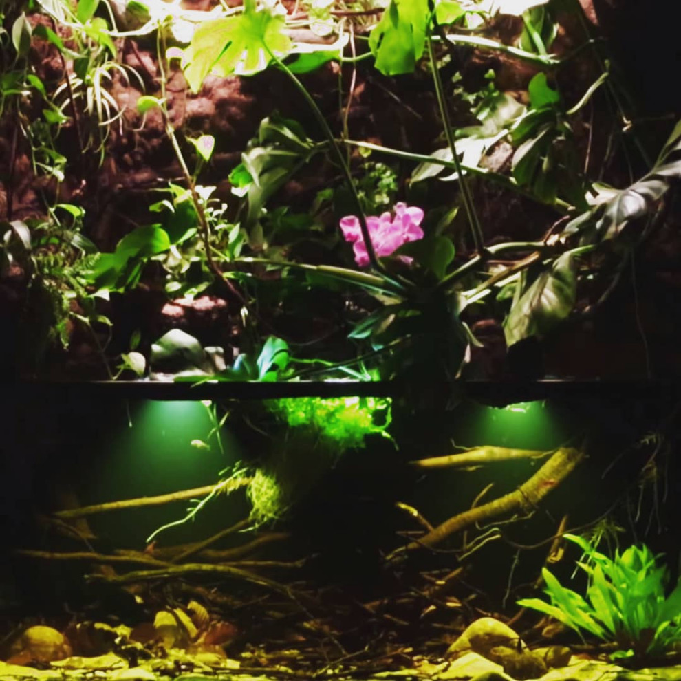 Флорариумы