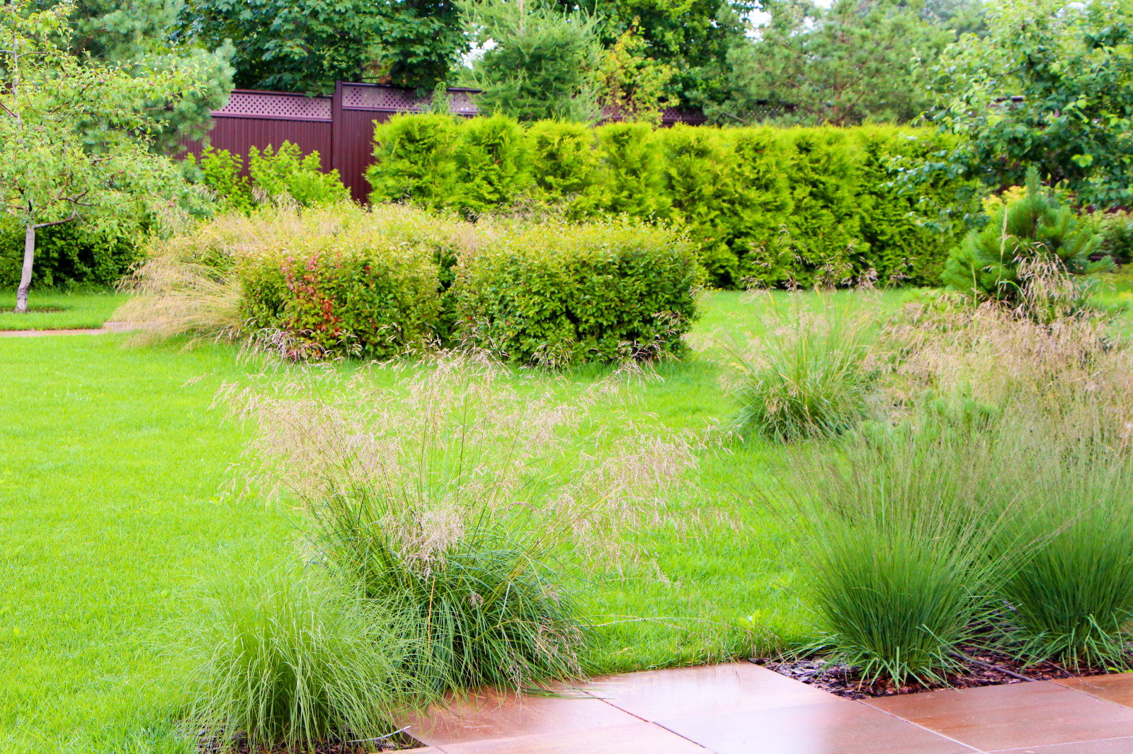 Петровское, 2018-2020 гг.