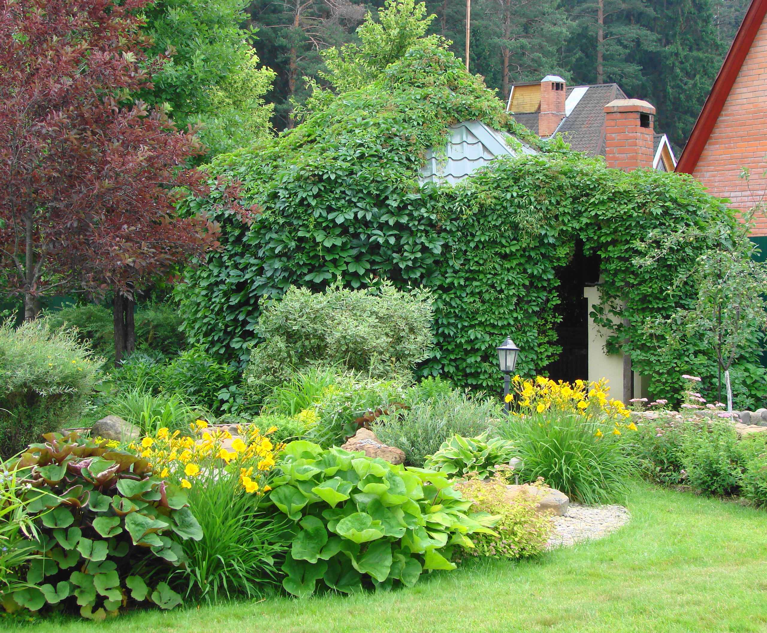 Как правильно: Выбрать растения для сада будущего года