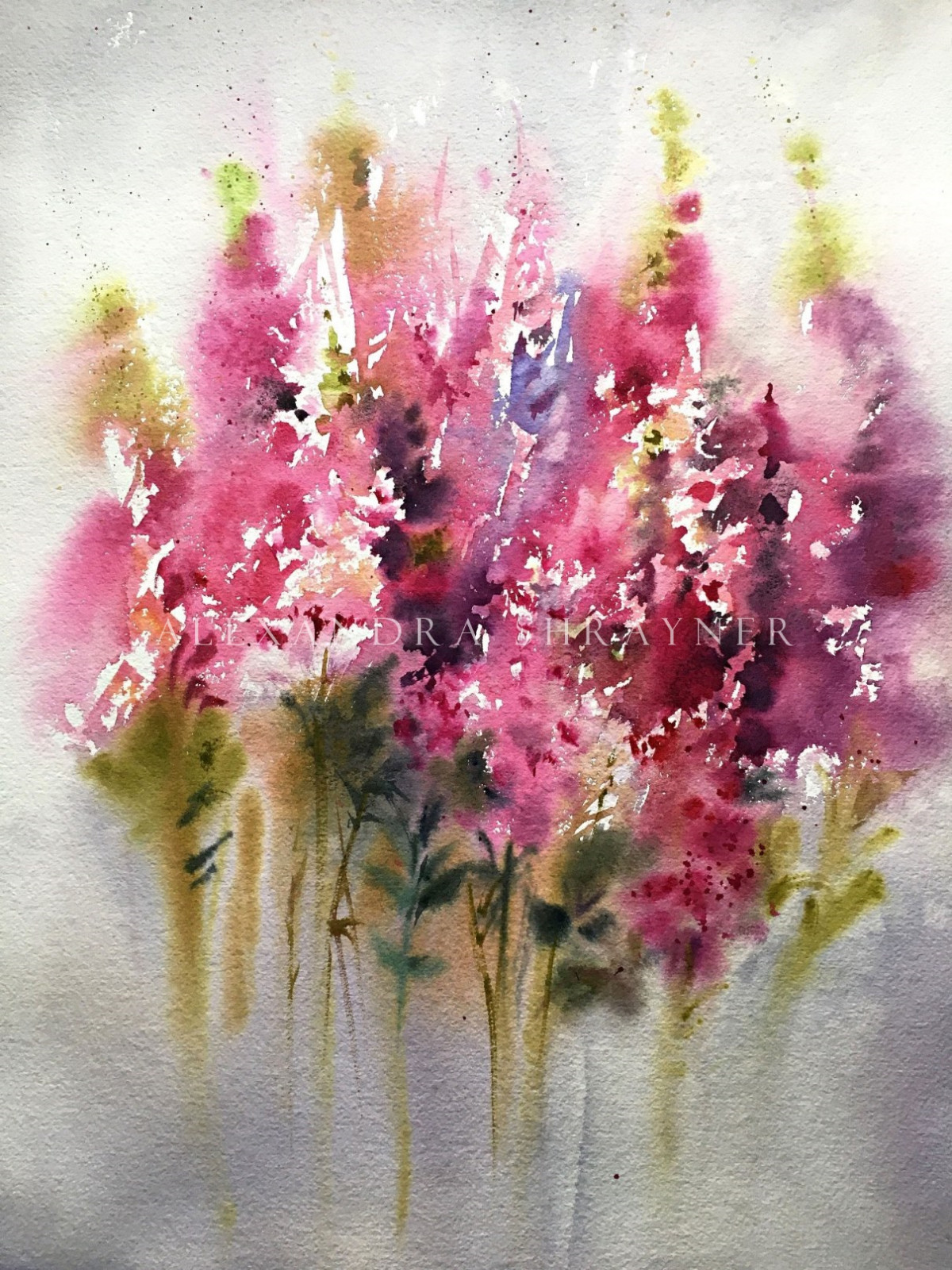 Александра Шрайнер