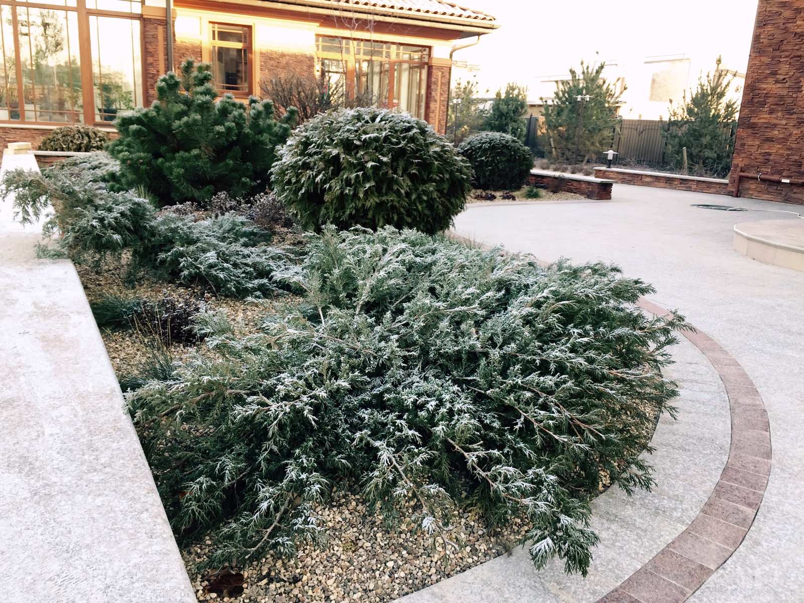 Миллениум2014