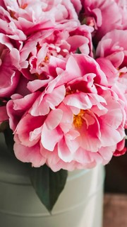 Анастасия Борисова