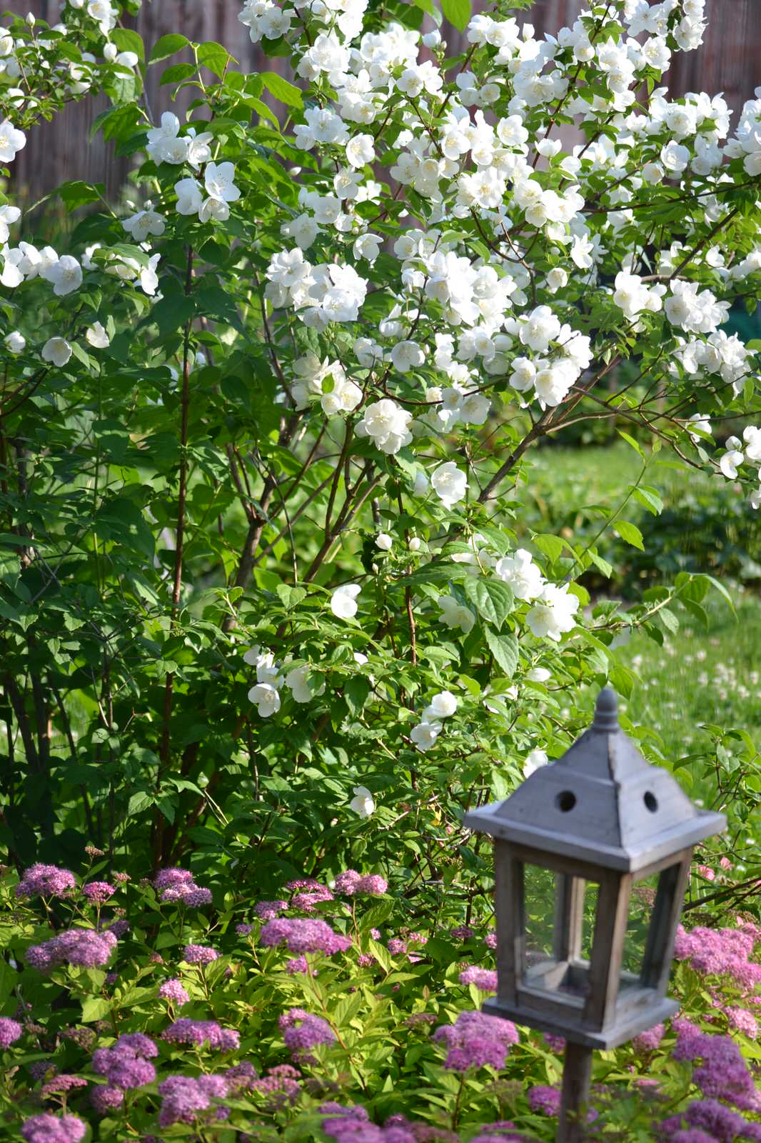 Фоновое изображение профиля Катерина Гончарова