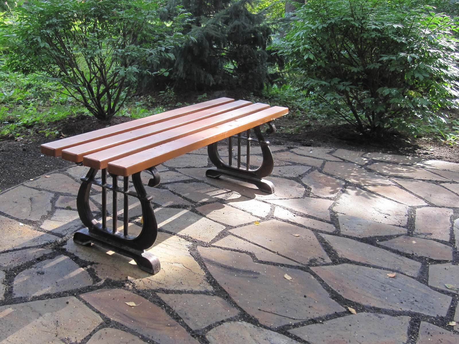 Сад в Жуковке