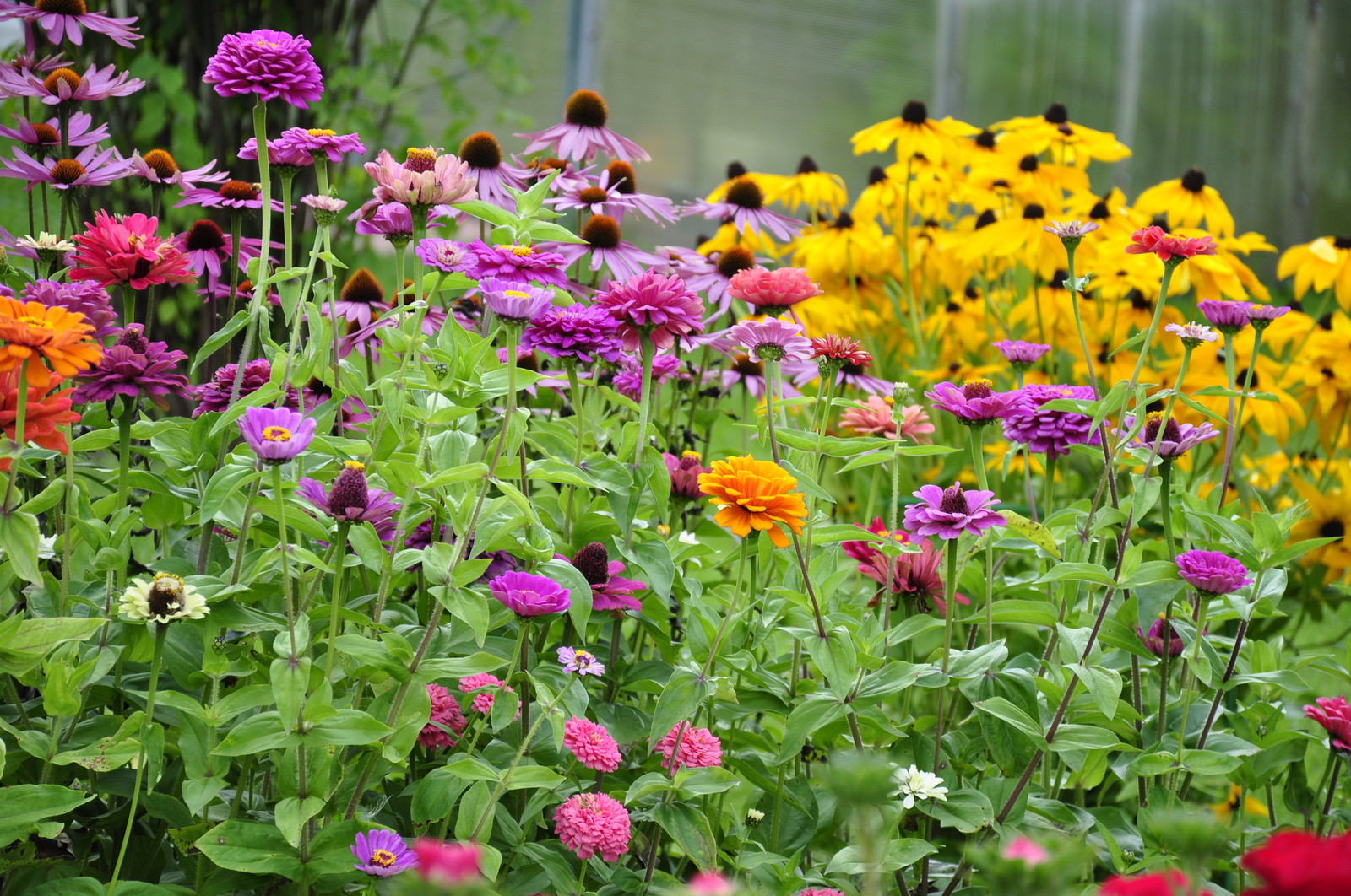 д. Косово - Уход за садом - 100% качество