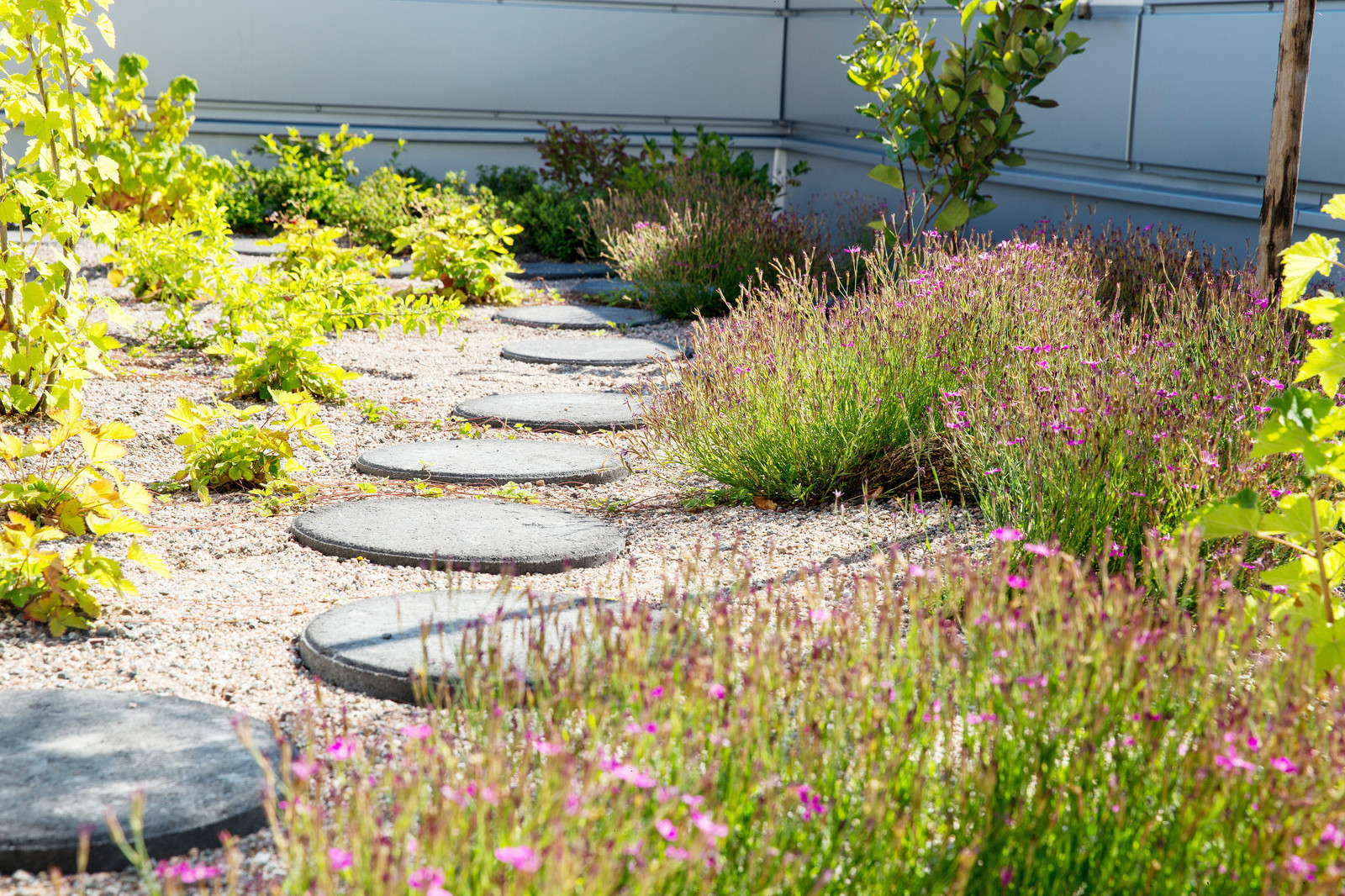 Обложка проекта: Сада на крыше в Хельсинки, Финляндия