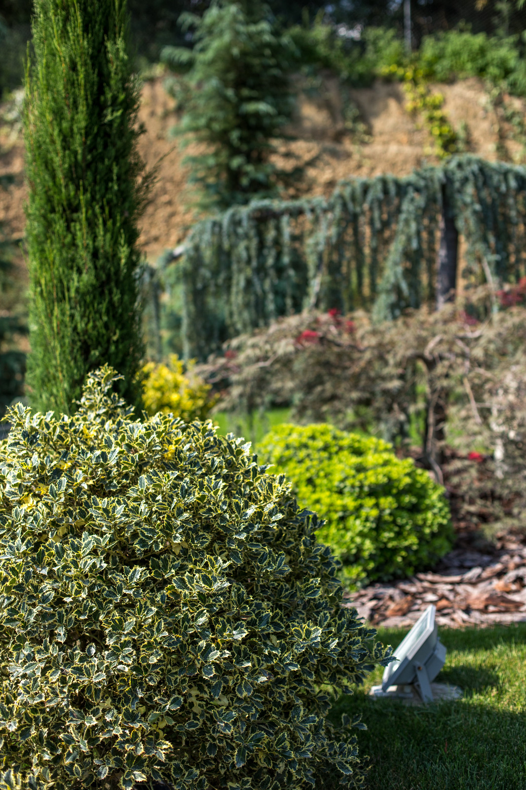 Ландшафтный Дизайн Олимпийский Сочи