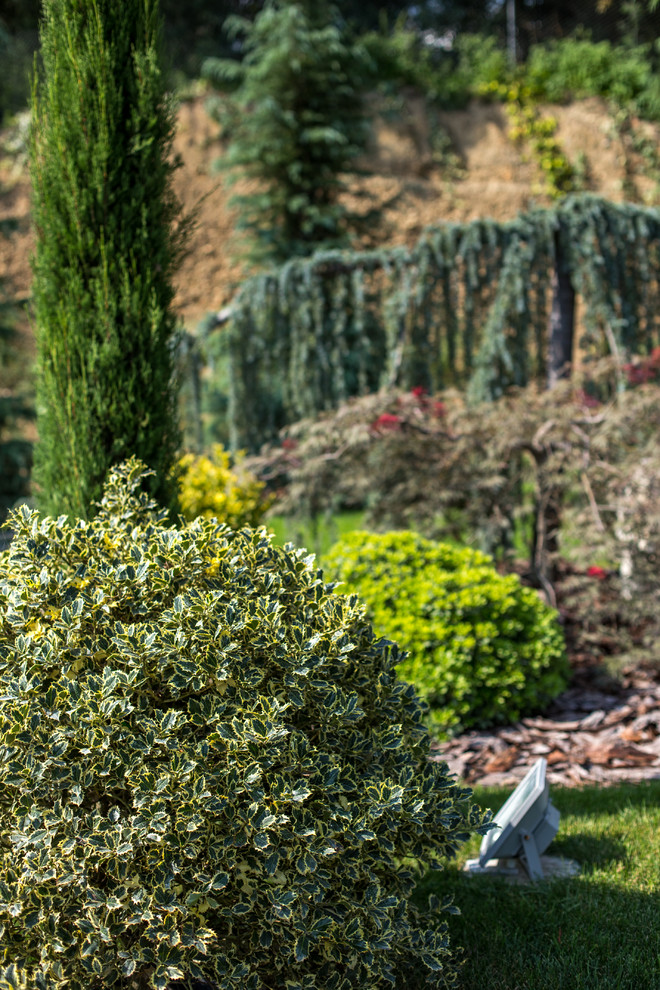 Ландшафтный Дизайн Олимпийский Сочи