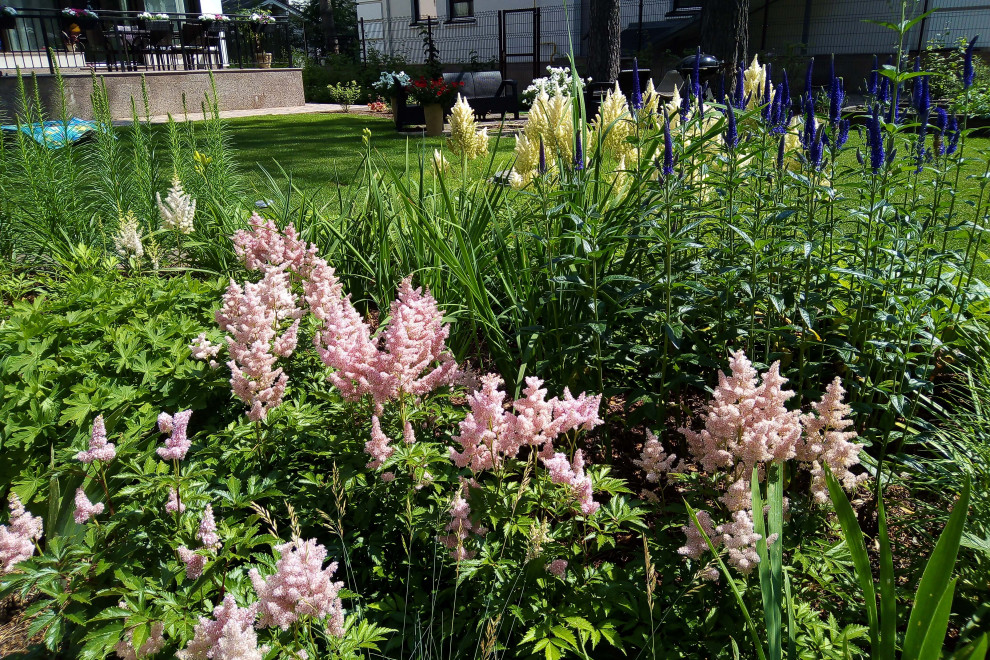 Цветники под пологом леса