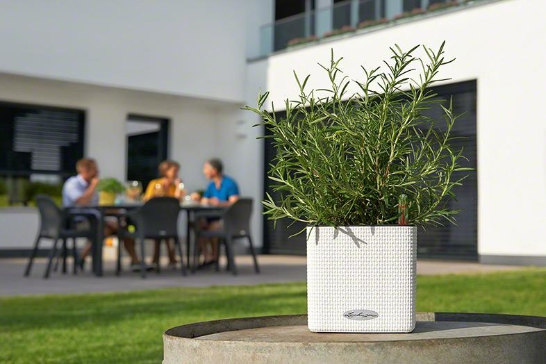 Интеллектуальный дизайн