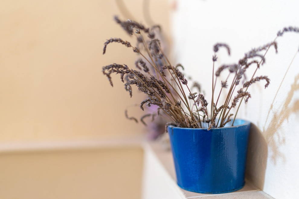 Варна центр, Мария Луиза 33