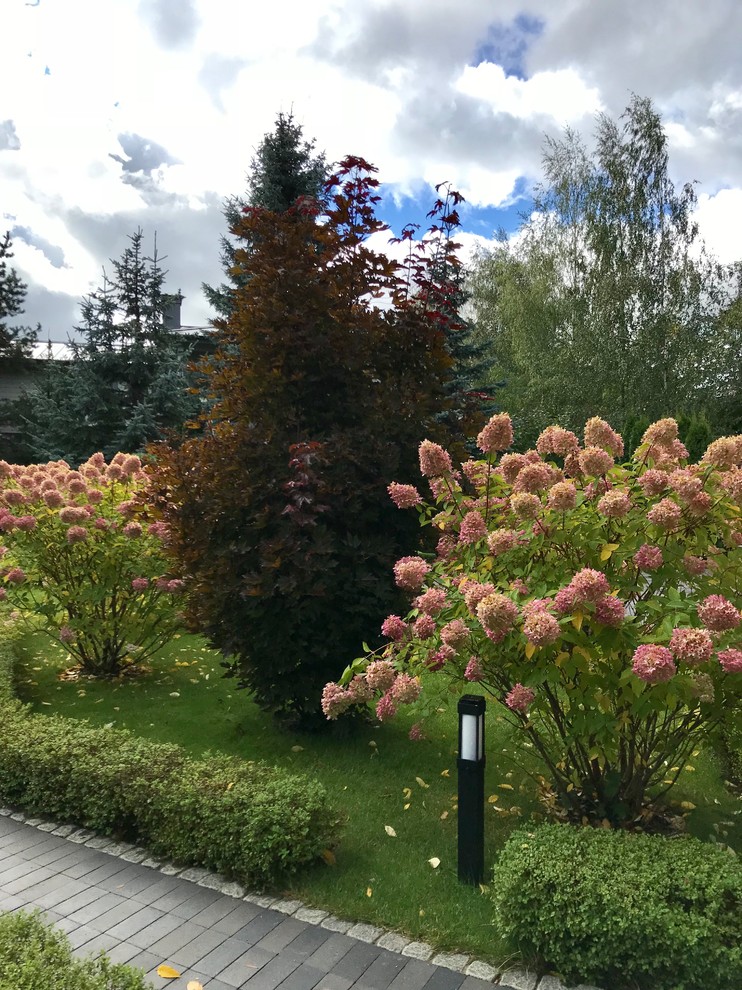 Обложка проекта: Зелёный лес