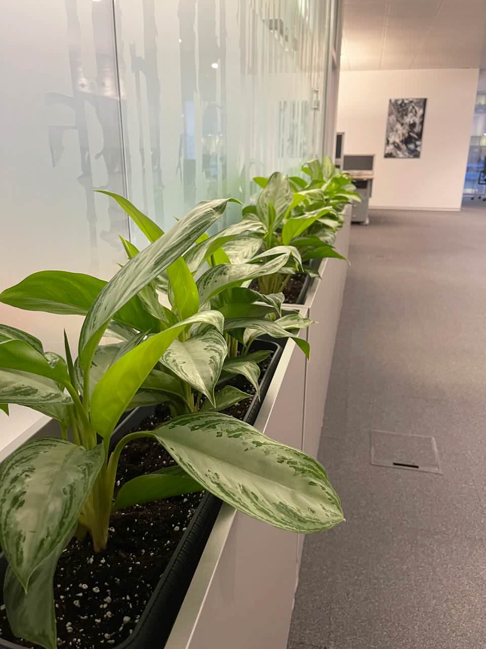 Офис Технодинамика г. Москва