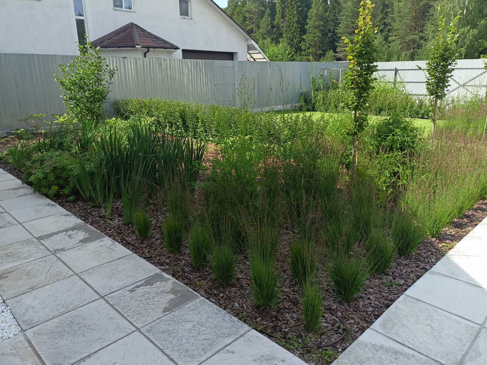 Строгие линии