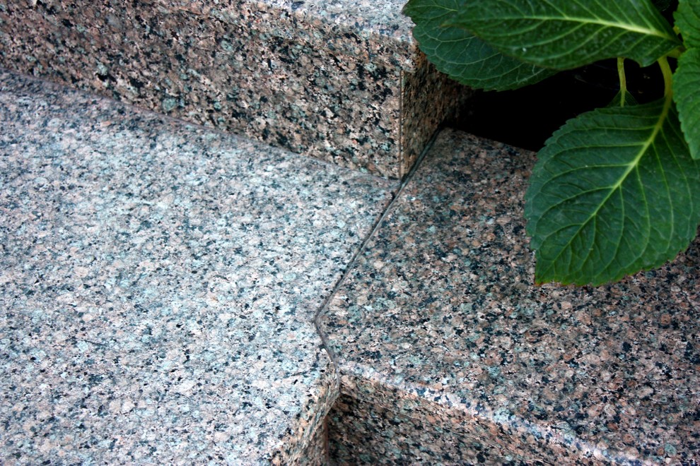 Парадная входная группа из гранита Цветок Украины