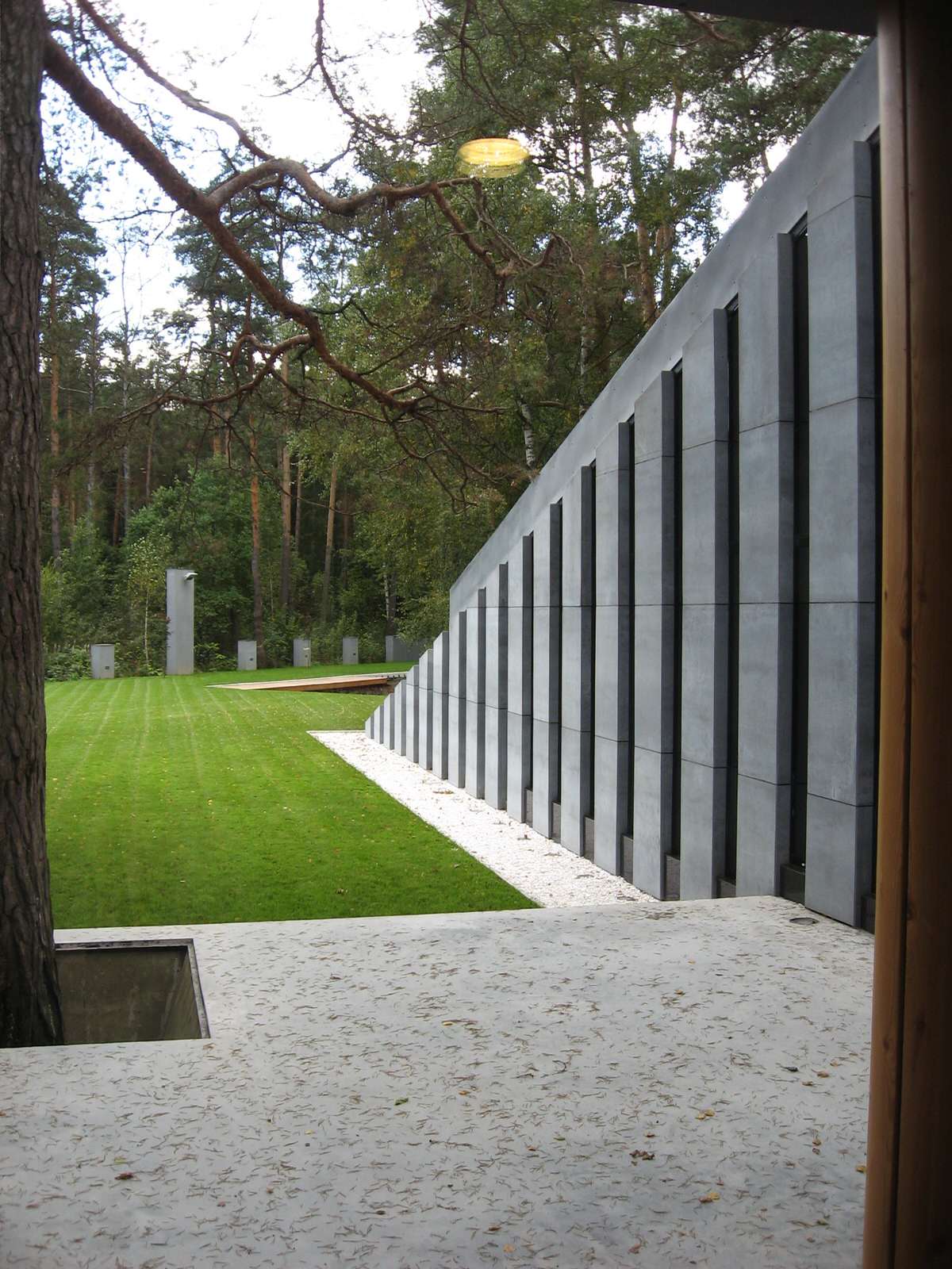 Дом в соснах у пруда