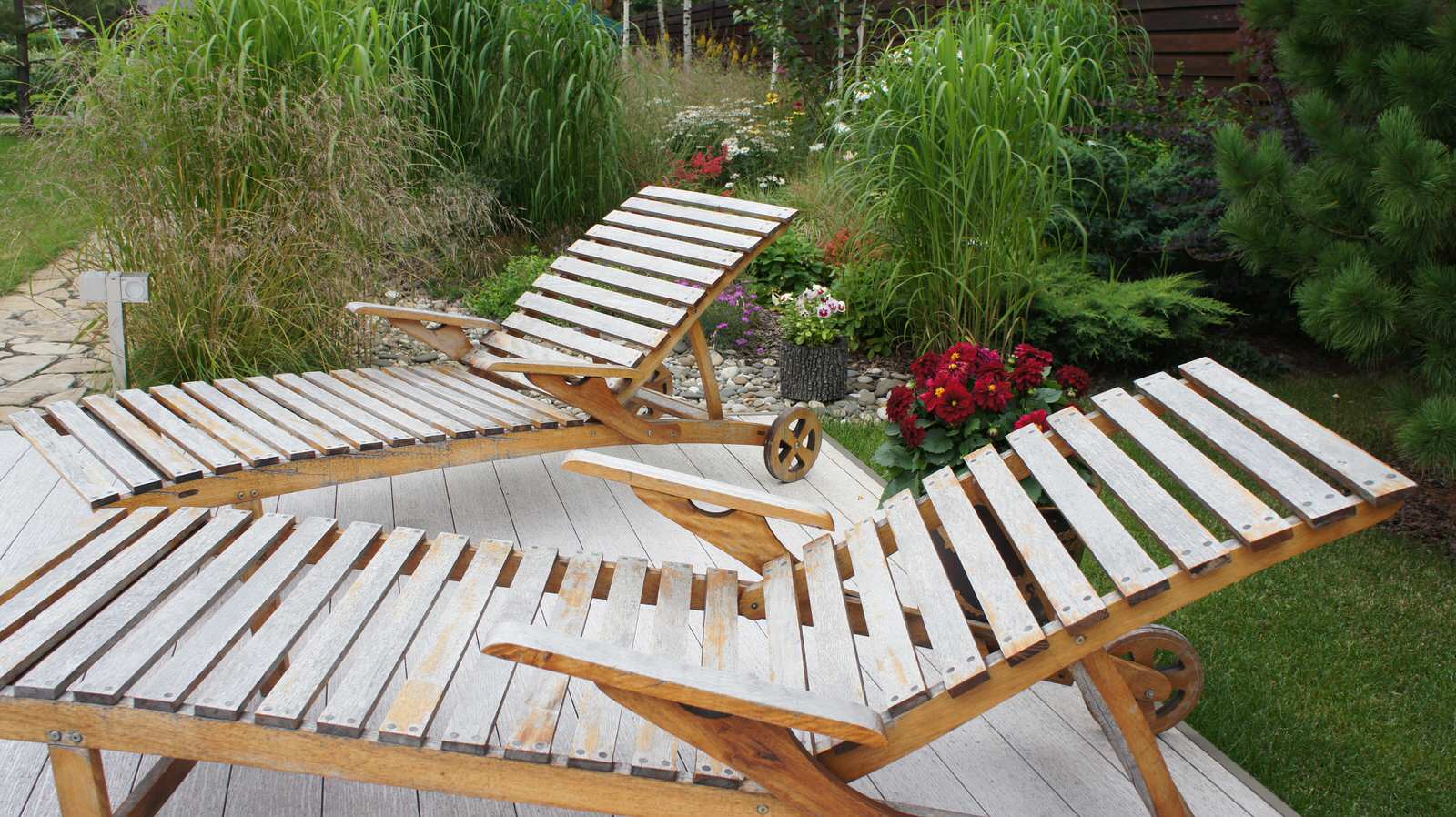 Прохорово лето 2017