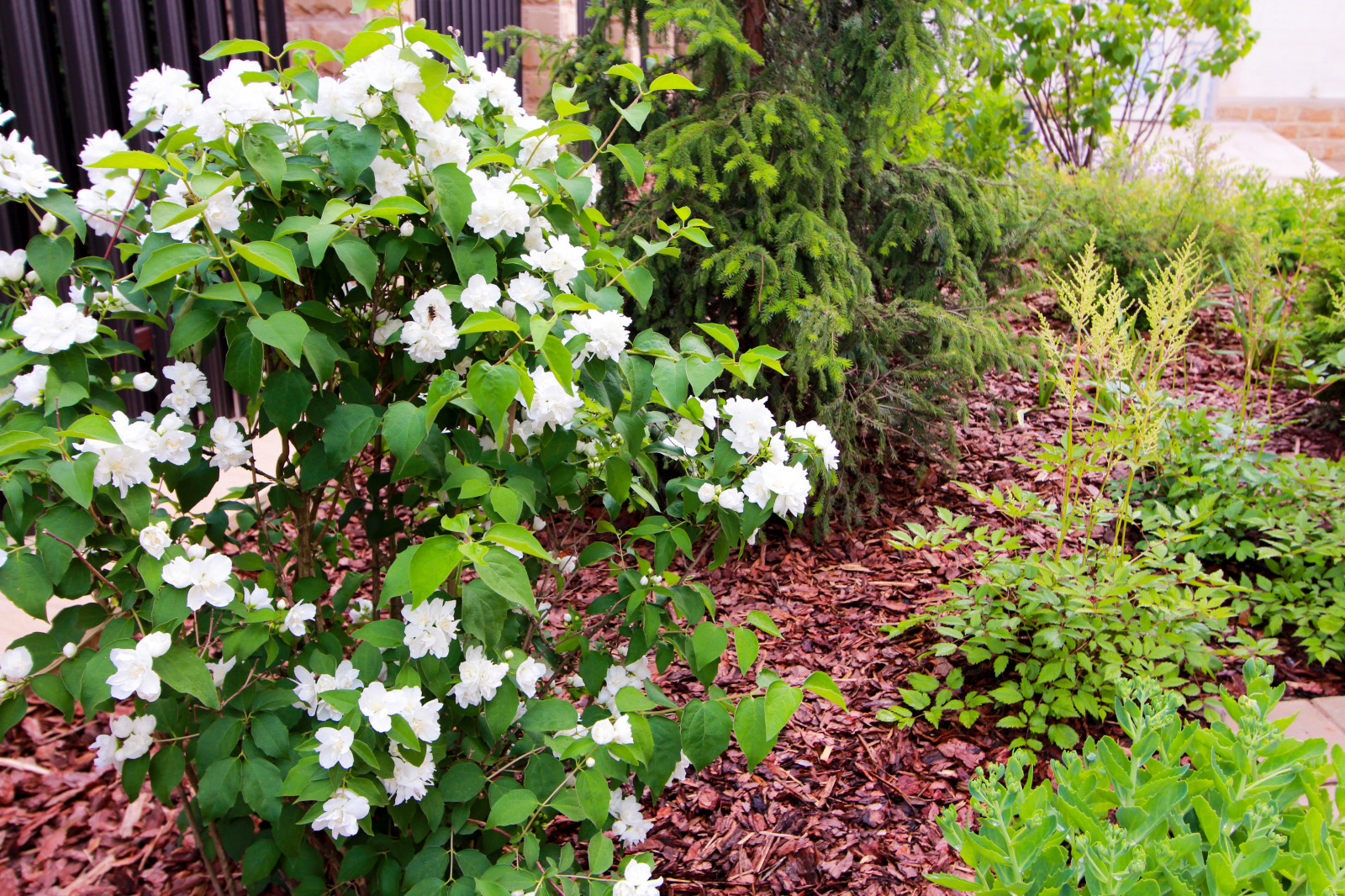 Павлово-2, 2022-2024 г.г.