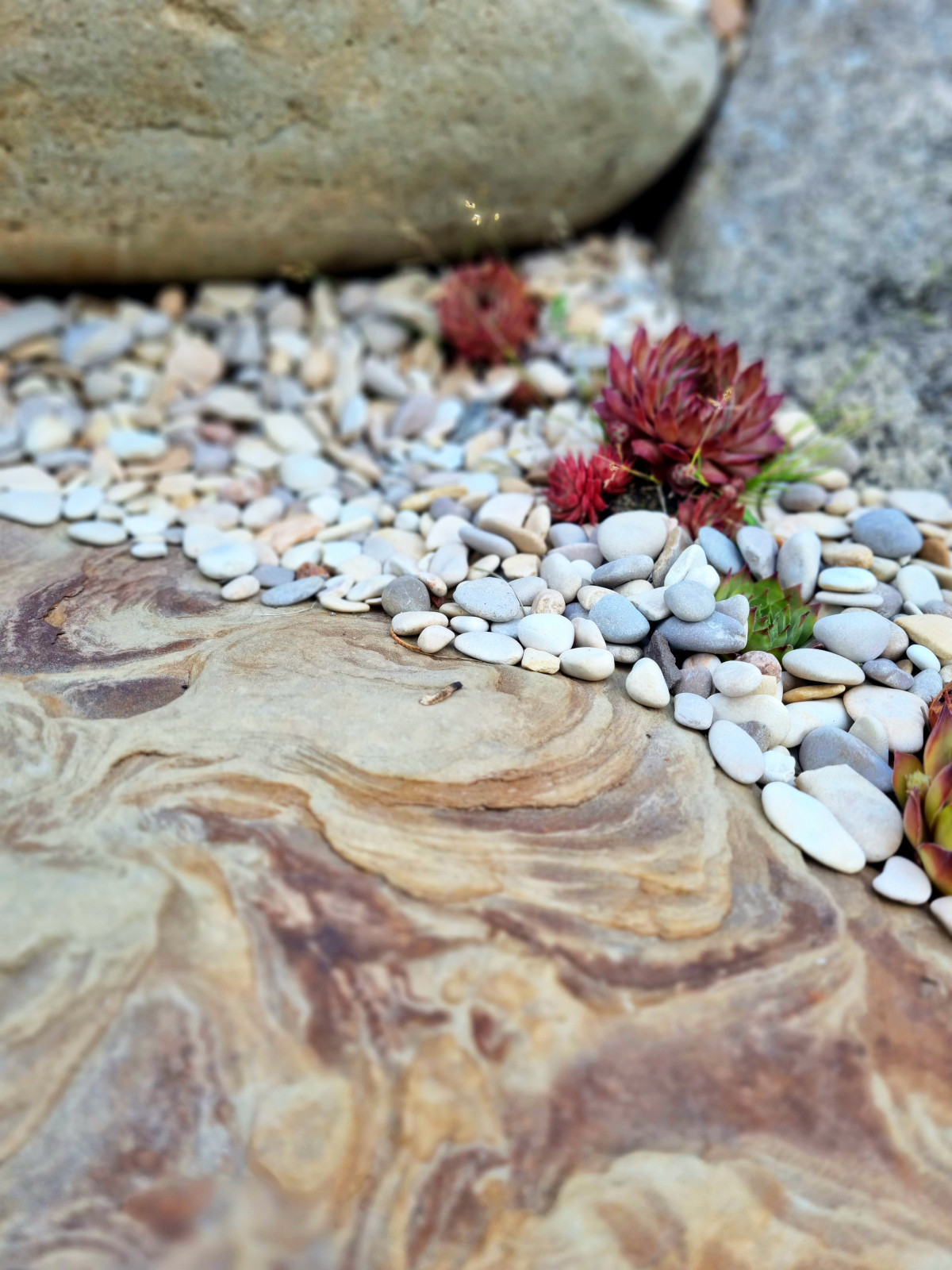 Миллениум парк 2024