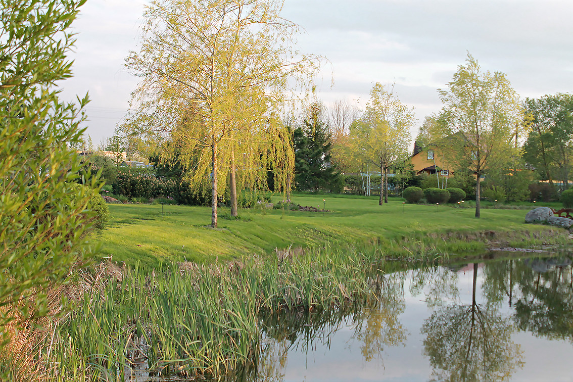 Houzz Белоруссия: Сад в тумане