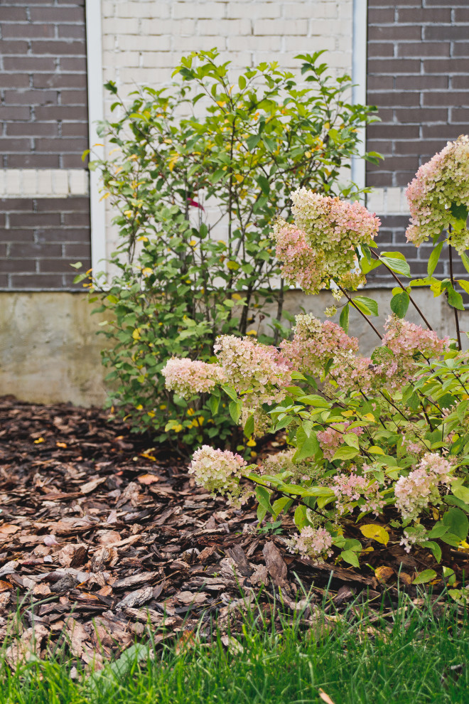 Сад на краю леса