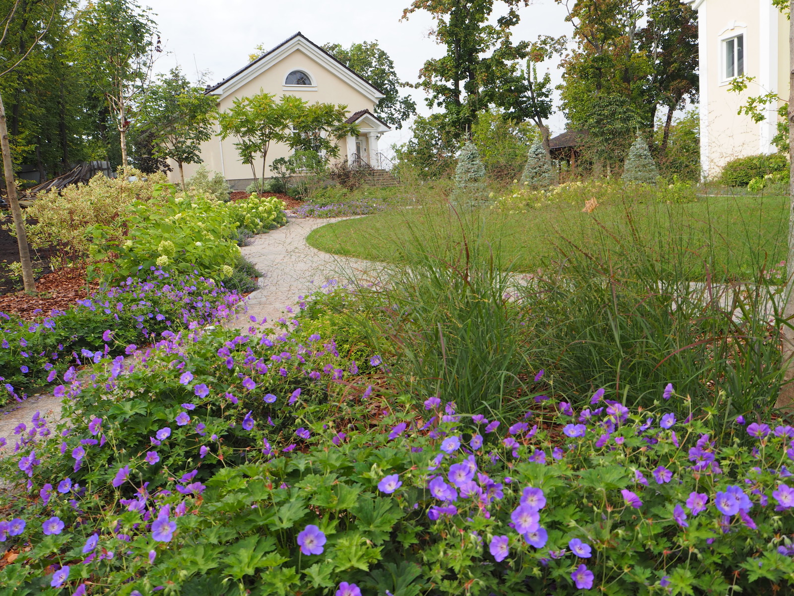 Обложка проекта: Современный русский сад
