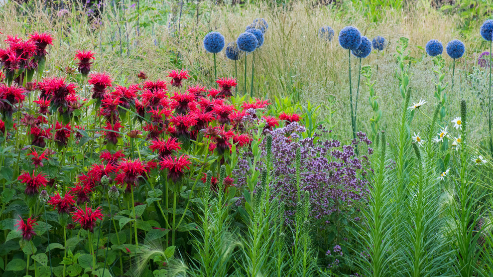 Цветник в  природном стиле  (" New Perennials"  или "Новая волна")