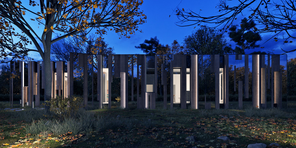 REFLECTIVE HOUSE / ОТРАЖАЮЩИЙ ДОМv