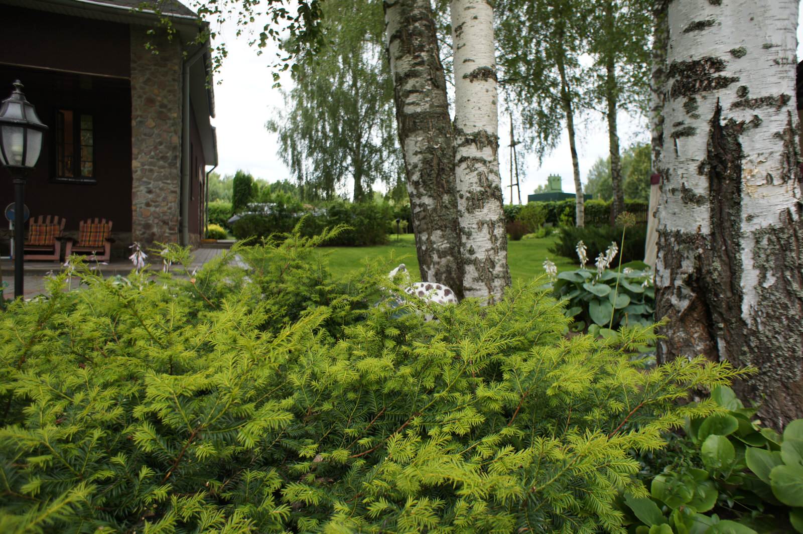 Деревенский сад