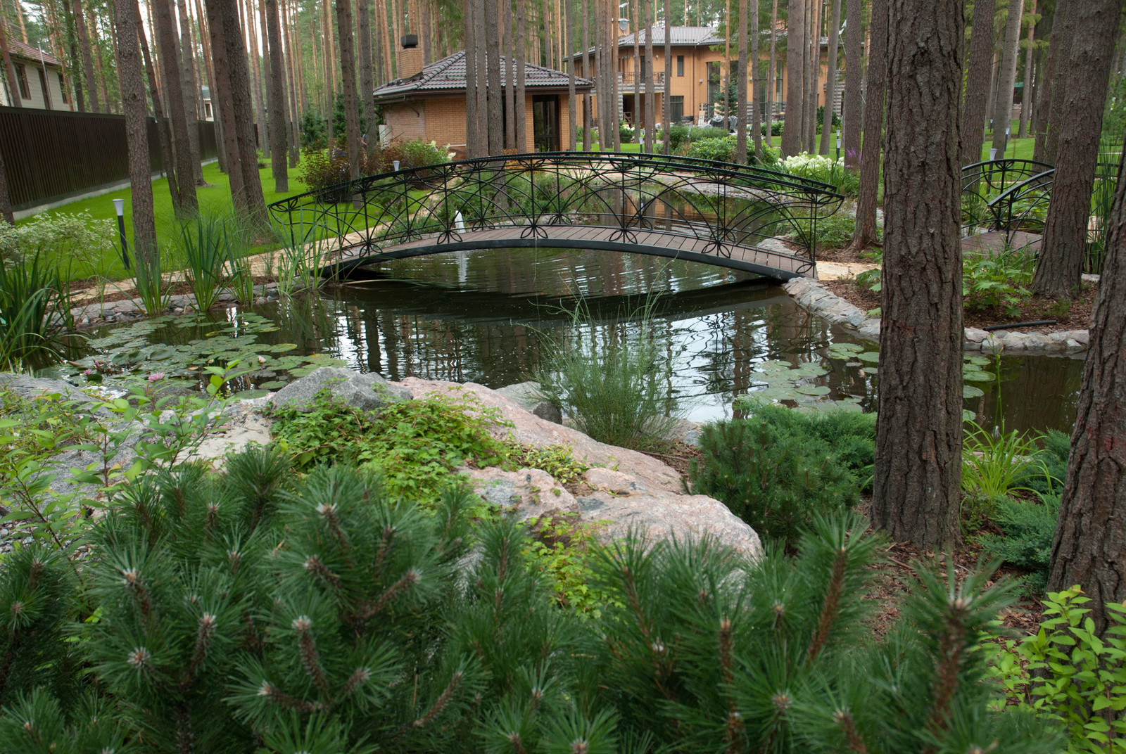 Обложка проекта: Ленинское