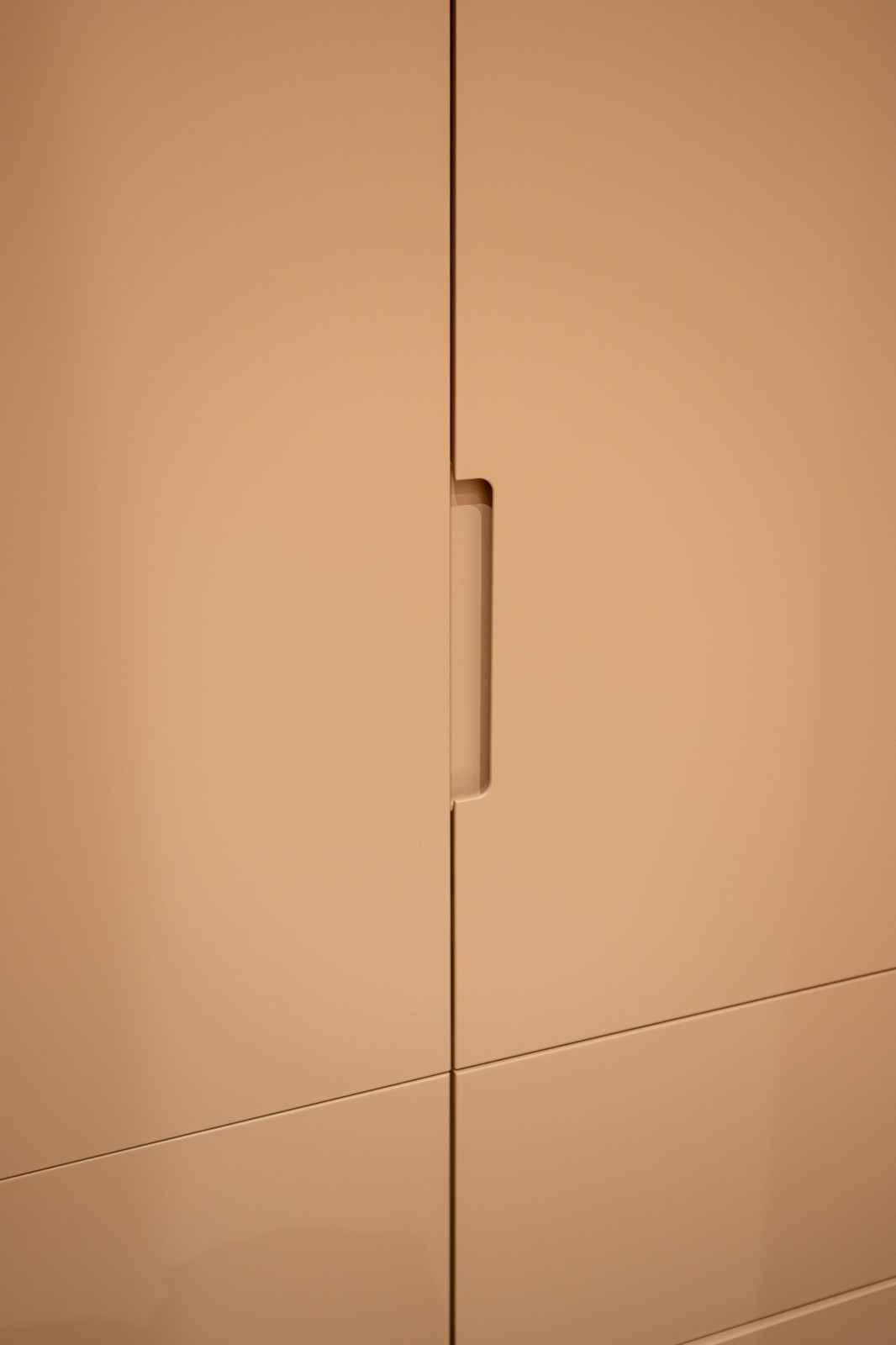 Обложка проекта: Botanica